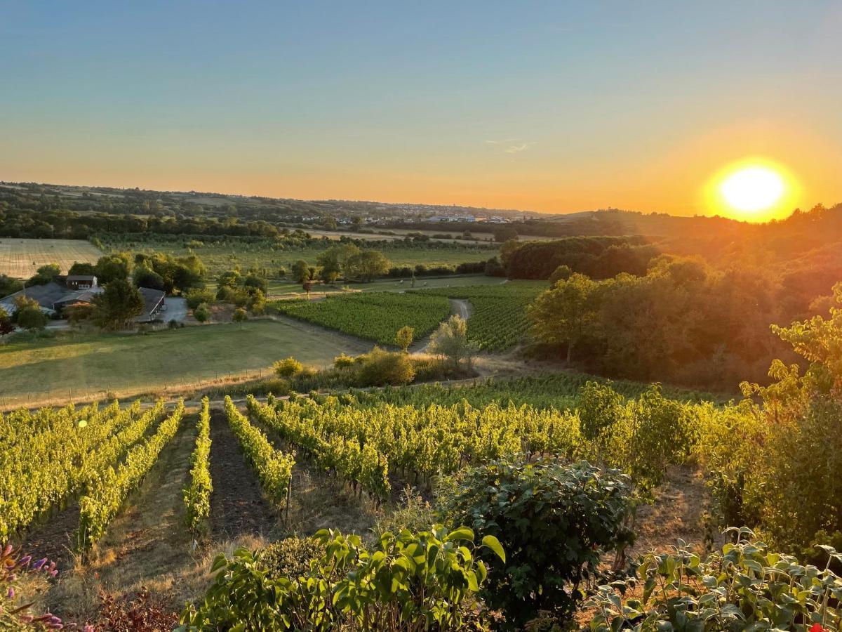 Maison Des Coteaux Blancs Chaudefonds-sur-Layon Luaran gambar