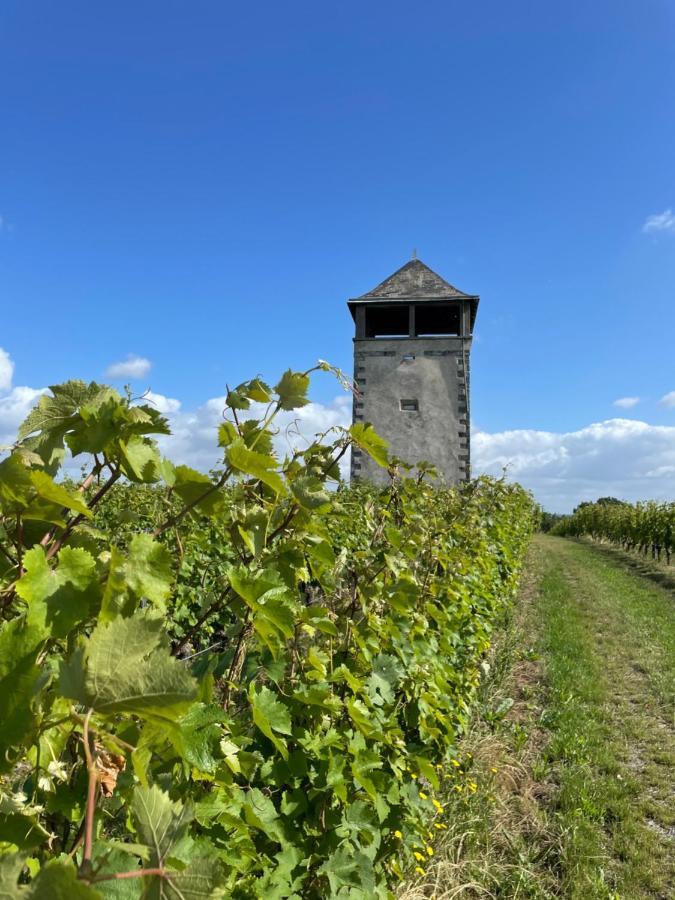 Maison Des Coteaux Blancs Chaudefonds-sur-Layon Luaran gambar